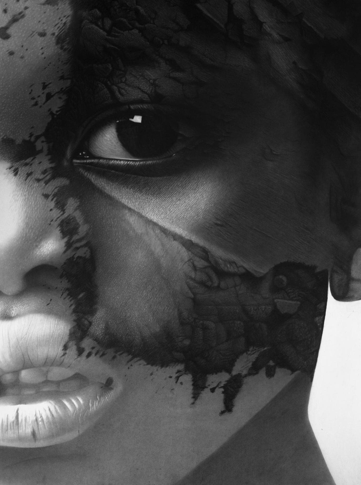 Charcoal and pastel close-up of a face partly dissolving into black
